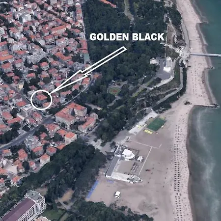Daire Golden Black *